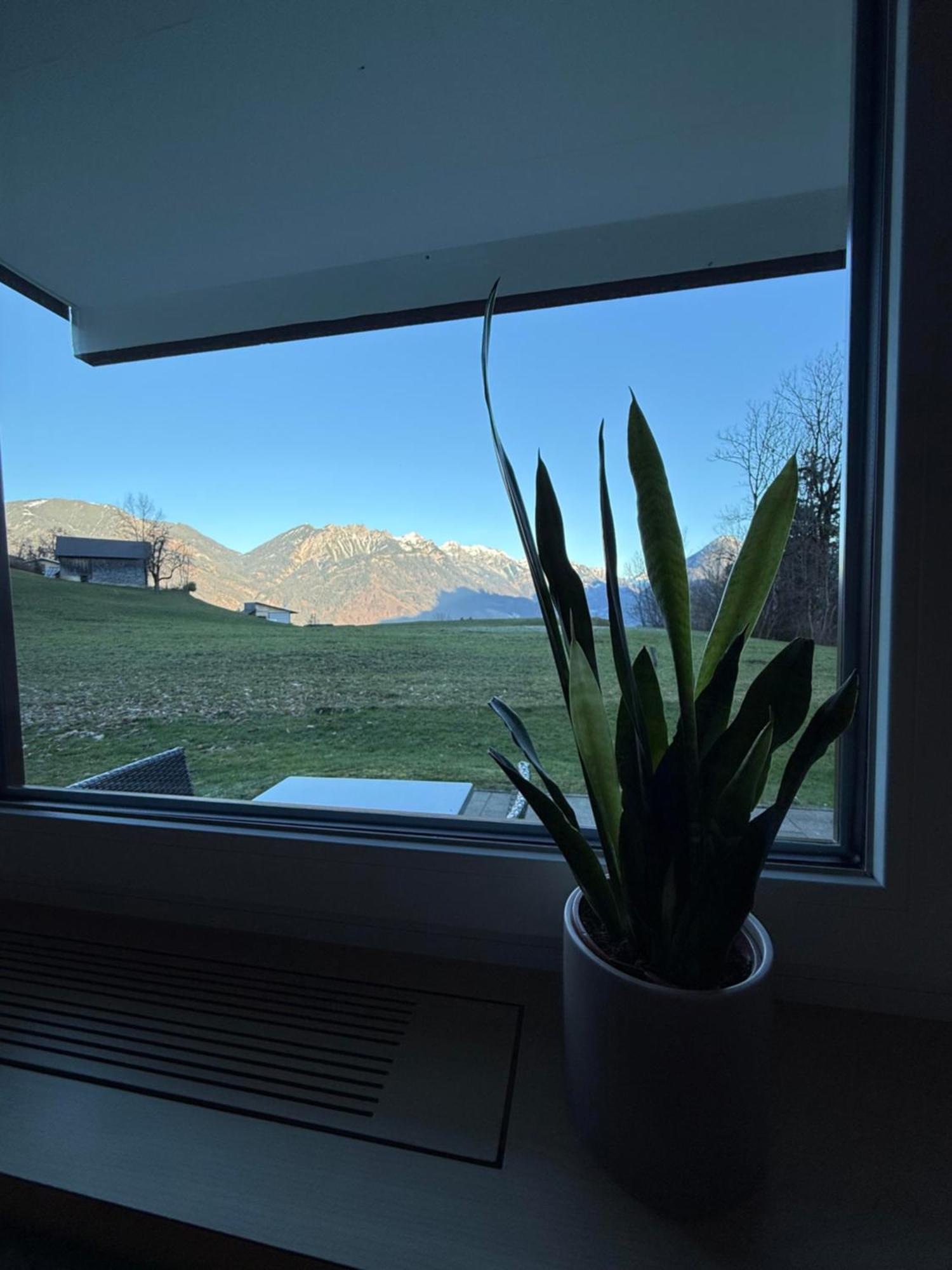 Апартаменты Bergnest Brandnertal Бюрзерберг Экстерьер фото